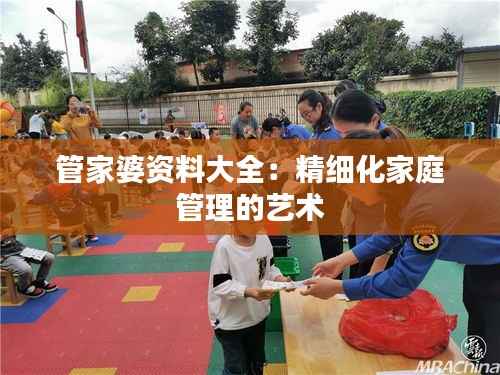 管家婆资料大全:精细化家庭管理的艺术
