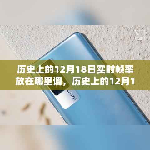 轻徙鸟举 第3页