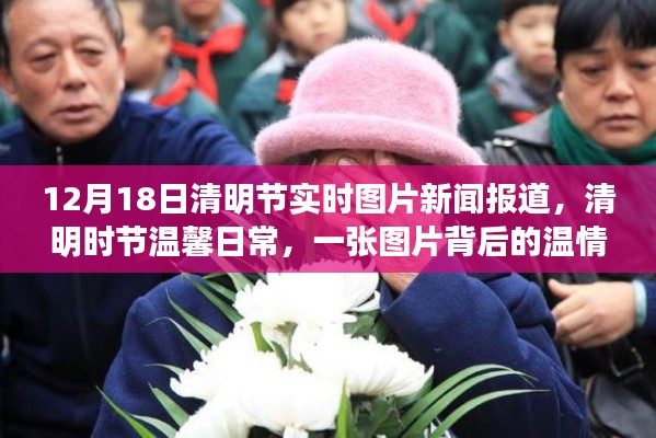 清明时节温馨瞬间,实时图片新闻报道下的温情故事