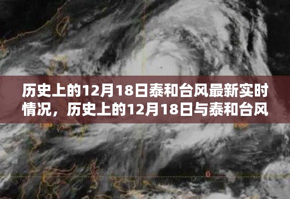 历史上的12月18日泰和台风最新实时情况深度解析