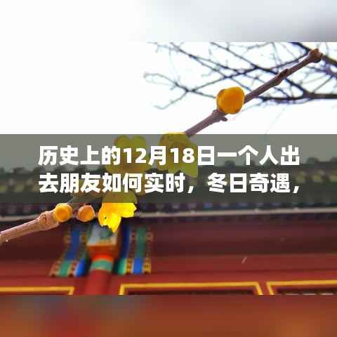 冬日奇遇,友情闪耀的温馨日子——12月18日与朋友们的实时相伴