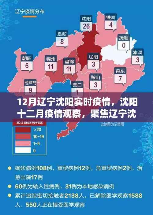 辽宁沈阳实时疫情观察,聚焦十二月疫情下的多方观点与个人立场