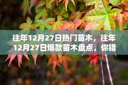『小红书热门苗木全解析,盘点往年12月27日爆款苗木,你错过了哪些热门之选?』