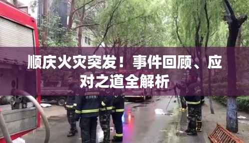顺庆火灾突发!事件回顾、应对之道全解析
