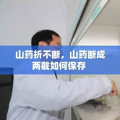 火伞高张 第3页