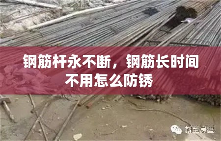 落落大方 第3页