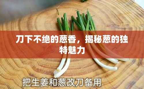 刀下不绝的葱香,揭秘葱的独特魅力