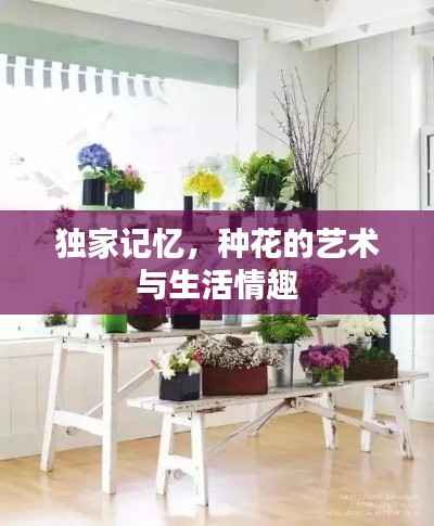 独家记忆,种花的艺术与生活情趣
