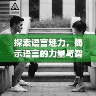 贵险贱璧 第4页