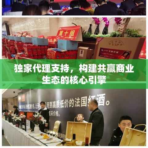 独家代理支持,构建共赢商业生态的核心引擎