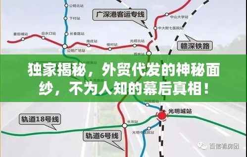 独家揭秘,外贸代发的神秘面纱,不为人知的幕后真相!