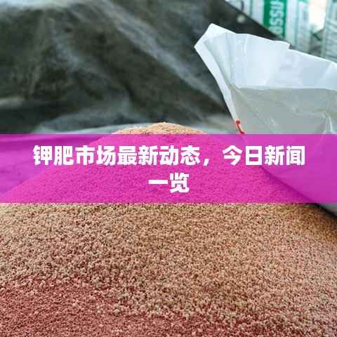 钾肥市场最新动态,今日新闻一览