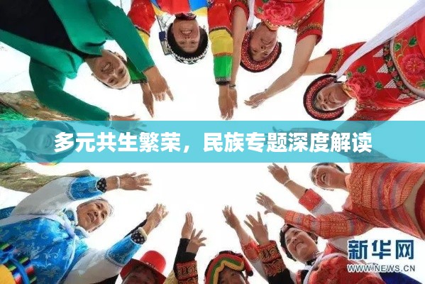 多元共生繁荣,民族专题深度解读