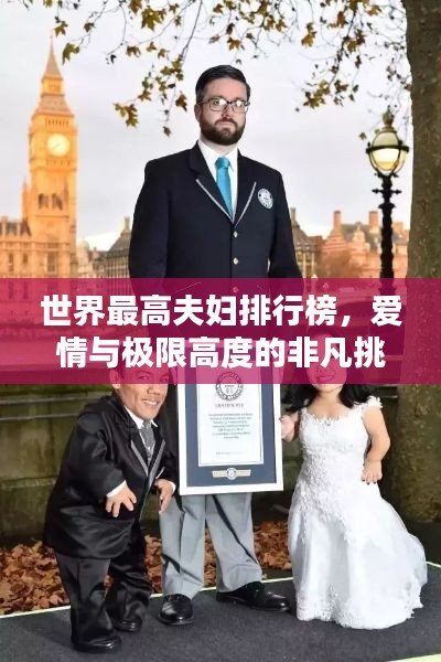 走马观花 第2页