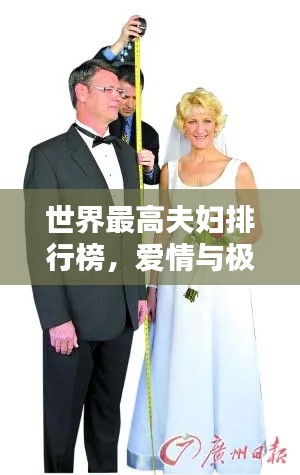 世界最高夫妇排行榜,爱情与极限高度的非凡挑战