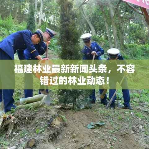 福建林业最新新闻头条,不容错过的林业动态!