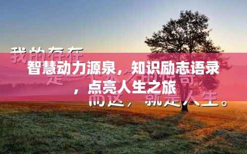 智慧动力源泉,知识励志语录,点亮人生之旅