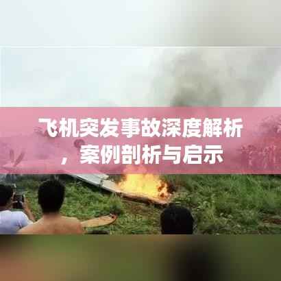 飞机突发事故深度解析，案例剖析与启示