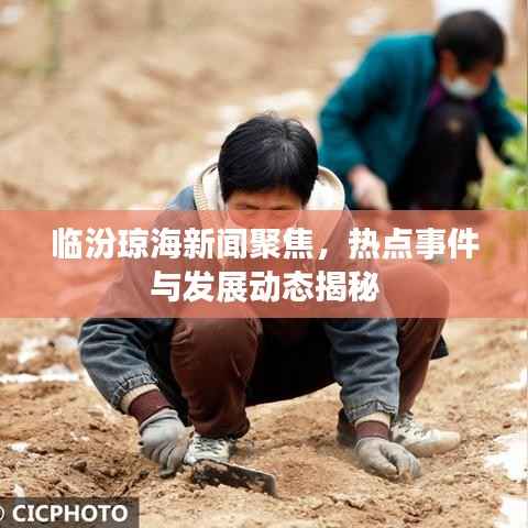 临汾琼海新闻聚焦,热点事件与发展动态揭秘