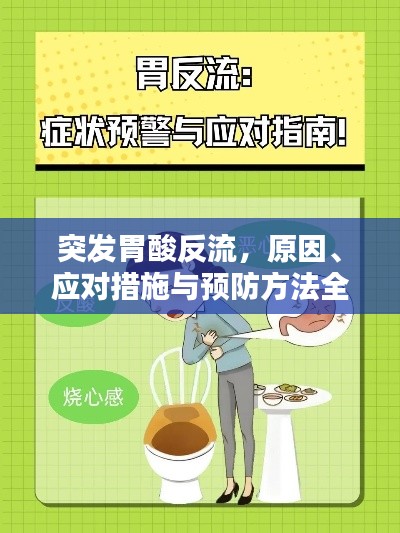 候鸟南飞