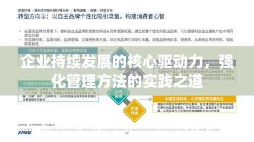 企业持续发展的核心驱动力,强化管理方法的实践之道