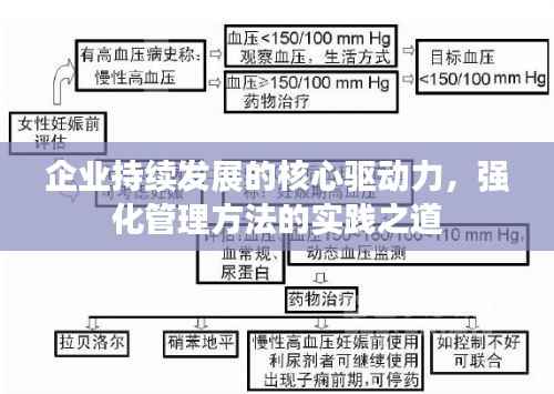 企业持续发展的核心驱动力,强化管理方法的实践之道