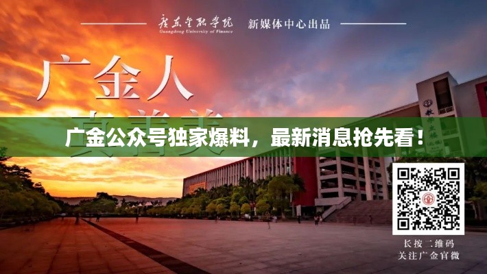 广金公众号独家爆料,最新消息抢先看!