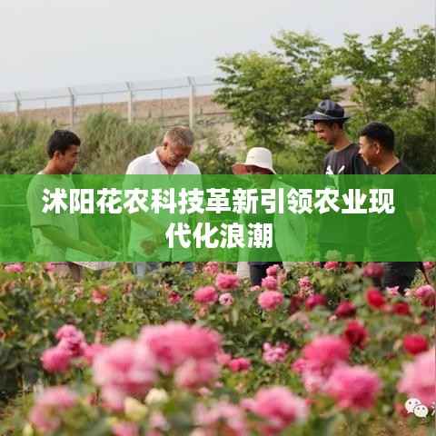 沭阳花农科技革新引领农业现代化浪潮