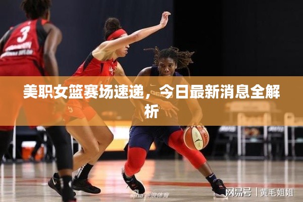 美职女篮赛场速递,今日最新消息全解析