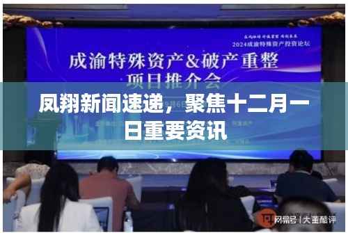 百鸟归巢
