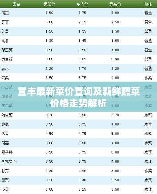一毫不苟