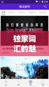 独家词汇的魅力,独特、独有与独家特色的深度解读与探索