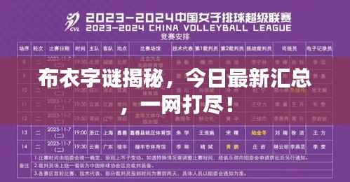 布衣字谜揭秘,今日最新汇总,一网打尽!