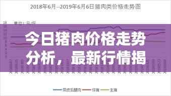 今日猪肉价格走势分析,最新行情揭秘