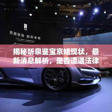 揭秘听泉鉴宝京姐现状，最新消息解析，是否遭遇法律制裁？