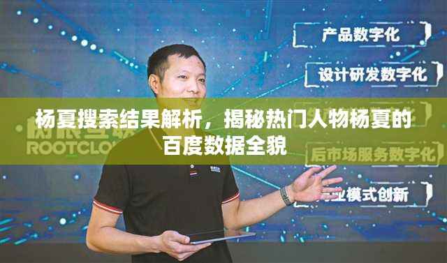 杨夏搜索结果解析，揭秘热门人物杨夏的百度数据全貌